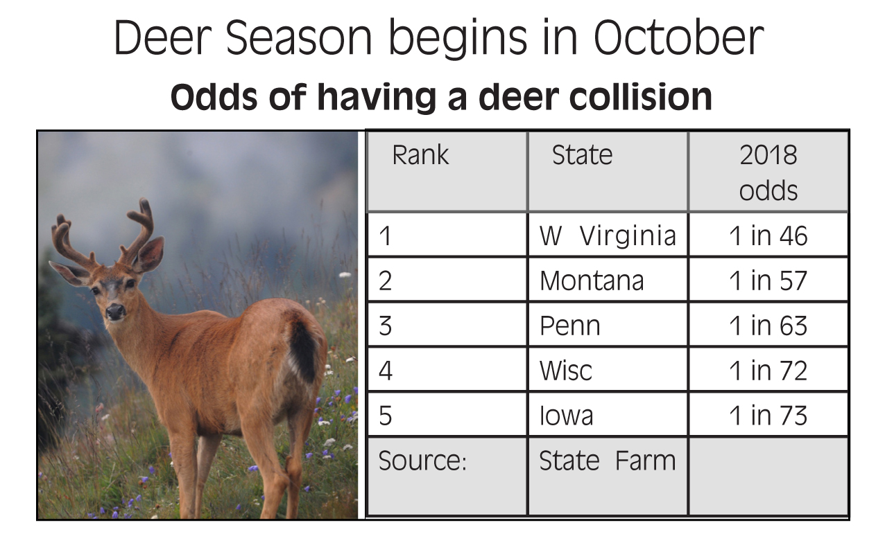 Deer collision information
