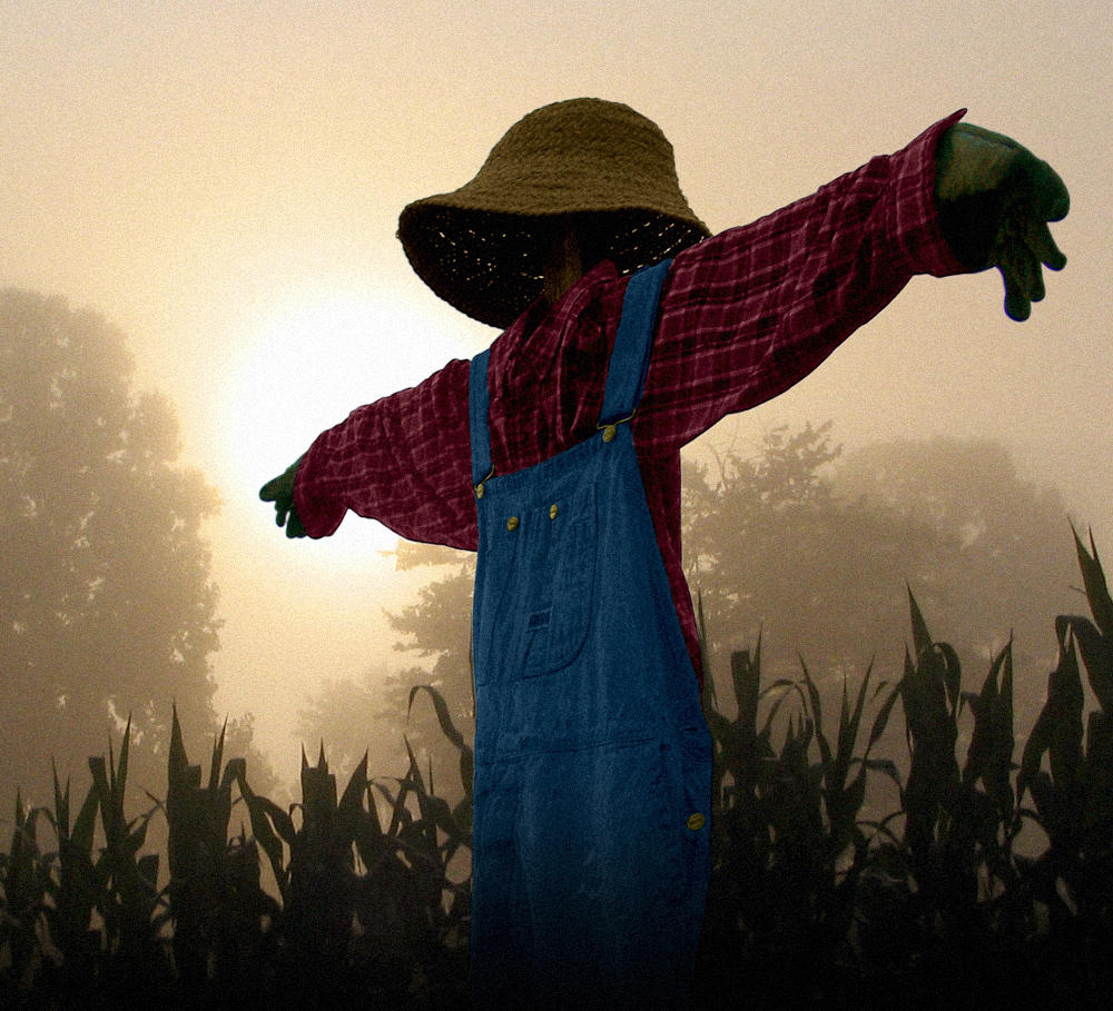It's fun to build a scarecrow! Here's how