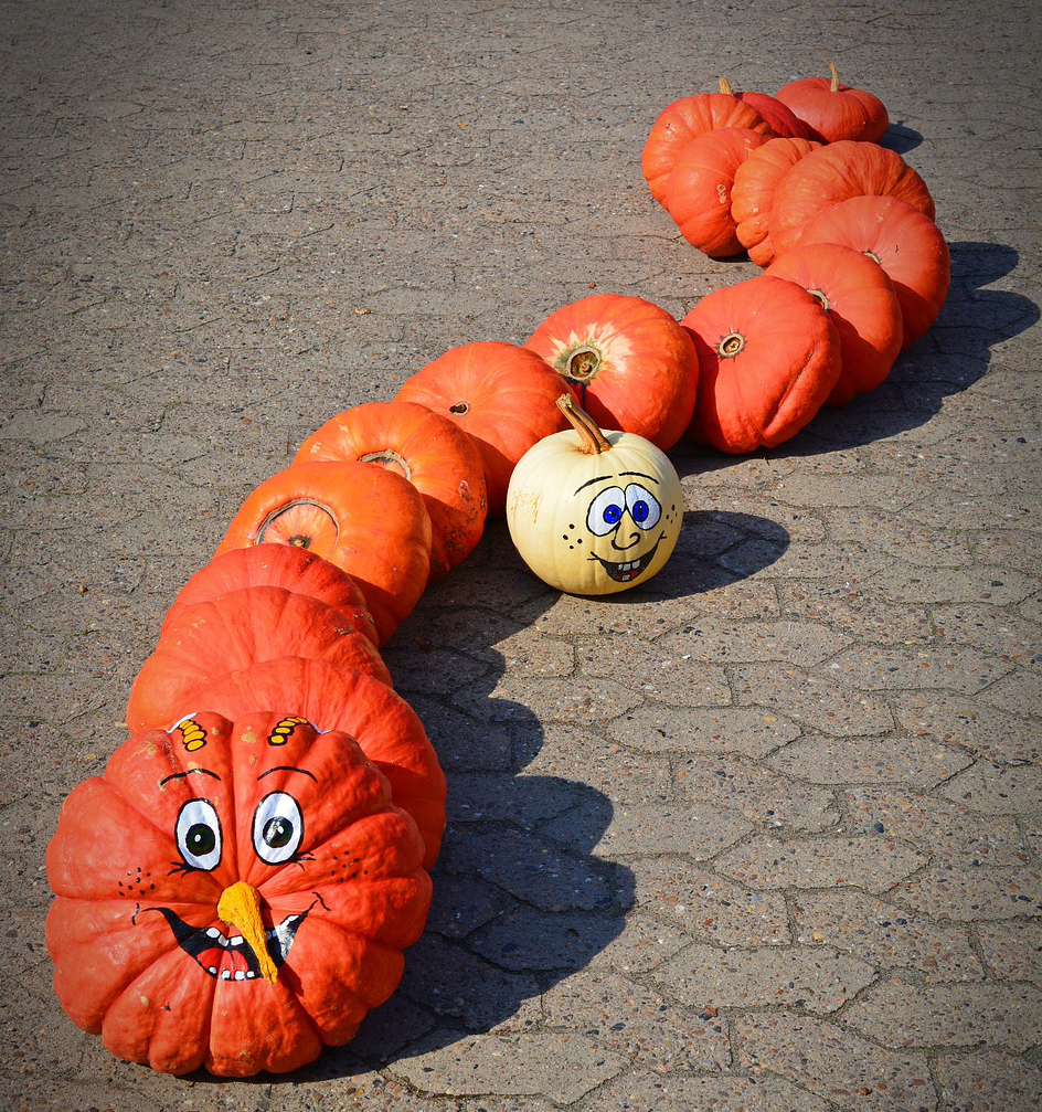Pumpkins are not just orange anymore