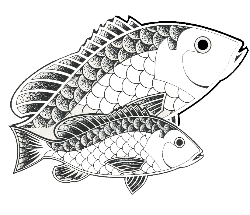 Freshwater fish have omega-3s