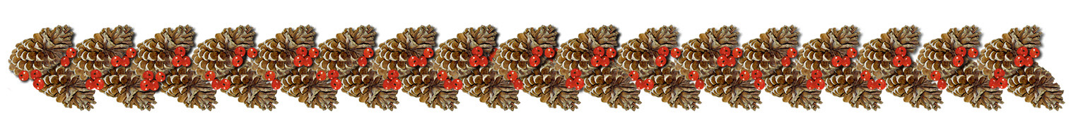 Make Christmas memories in your first home
