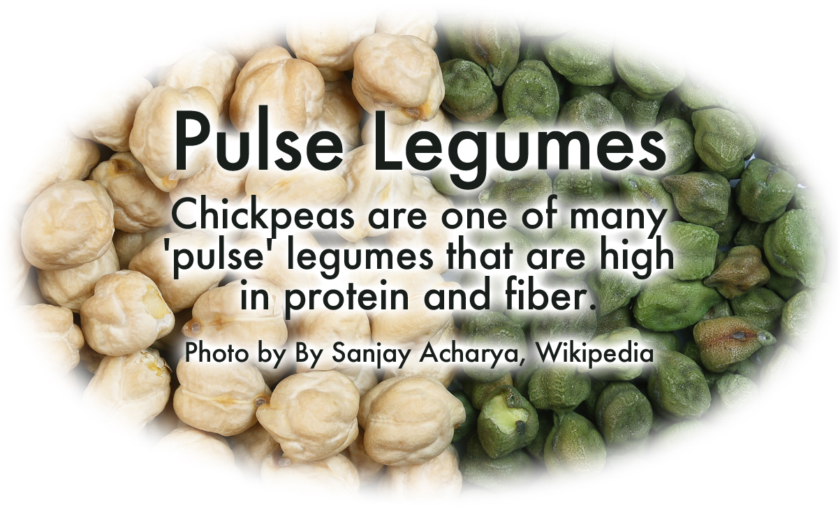 Plant based proteins put the pulse in your diet