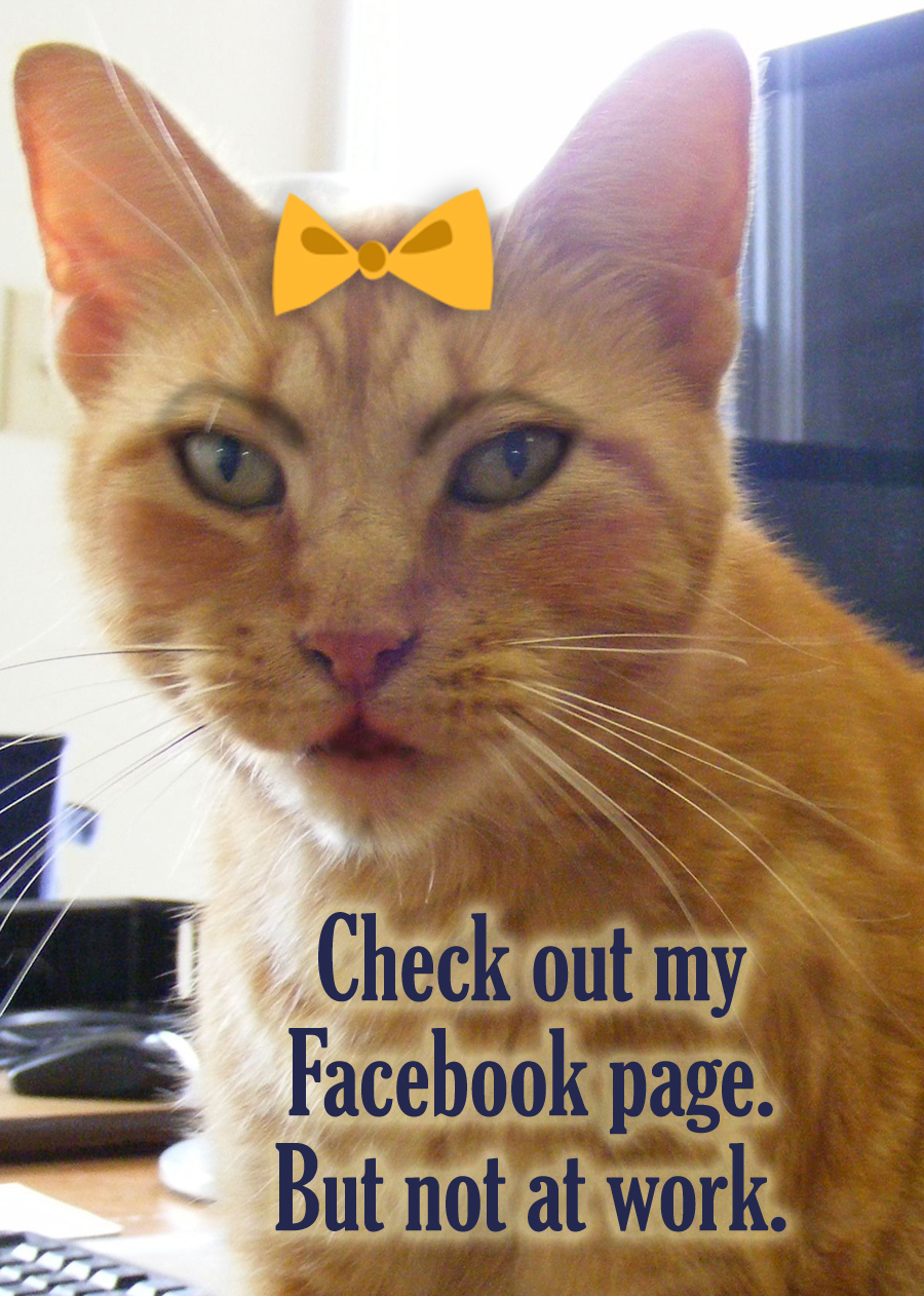 Spending work hours browsing Facebook, shopping or watching cat videos?