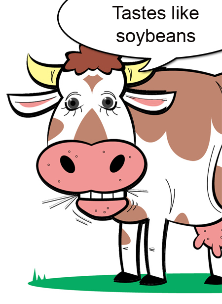 Keep cows away from car