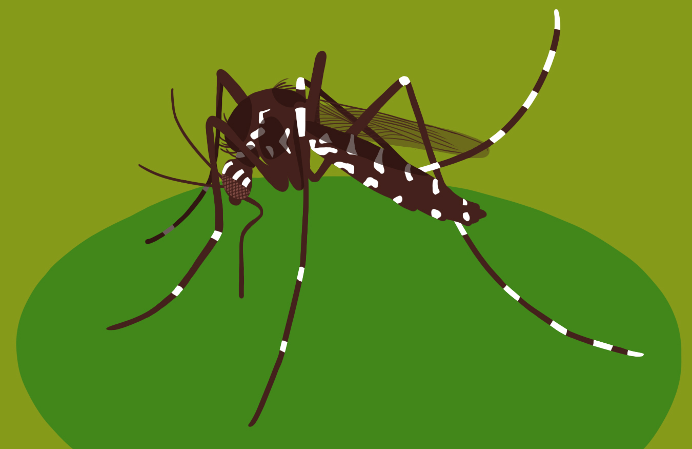 Zika virus is tied to a neurological disorder