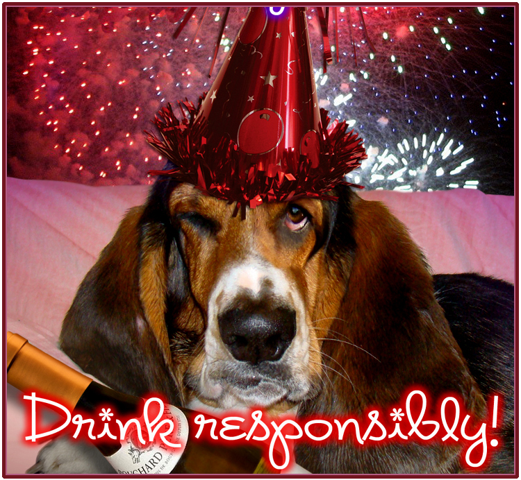 How to protect your animals during summer events