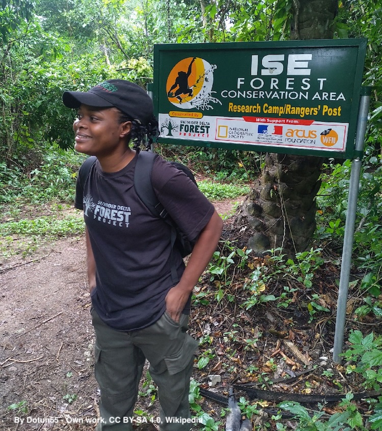 The woman who saved a forest and its species